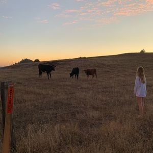 Meet your Posher, Ursula